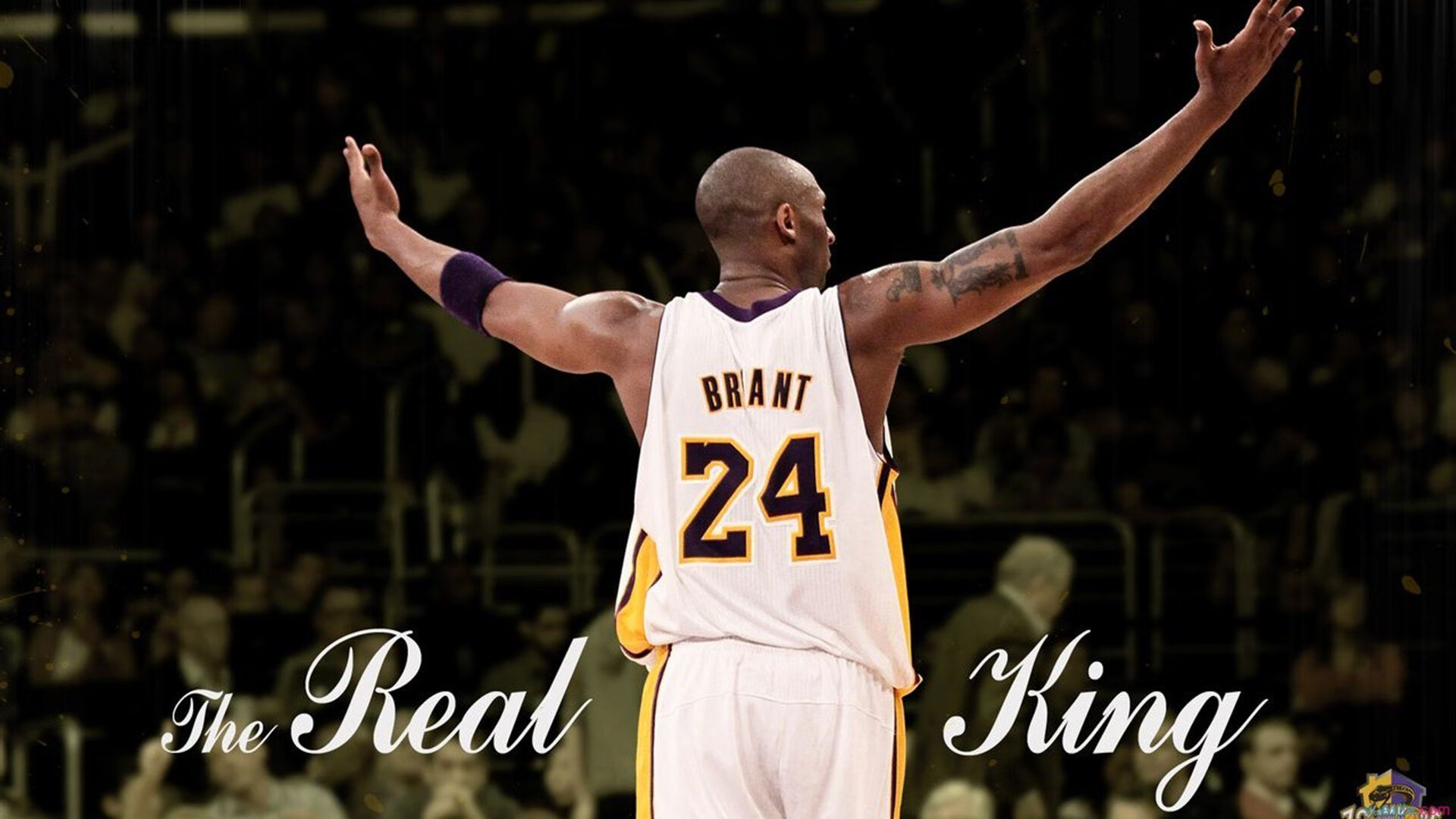 上海海港主场气氛火热,上海海港主场球衣